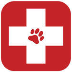 pet-first-aid_157619252